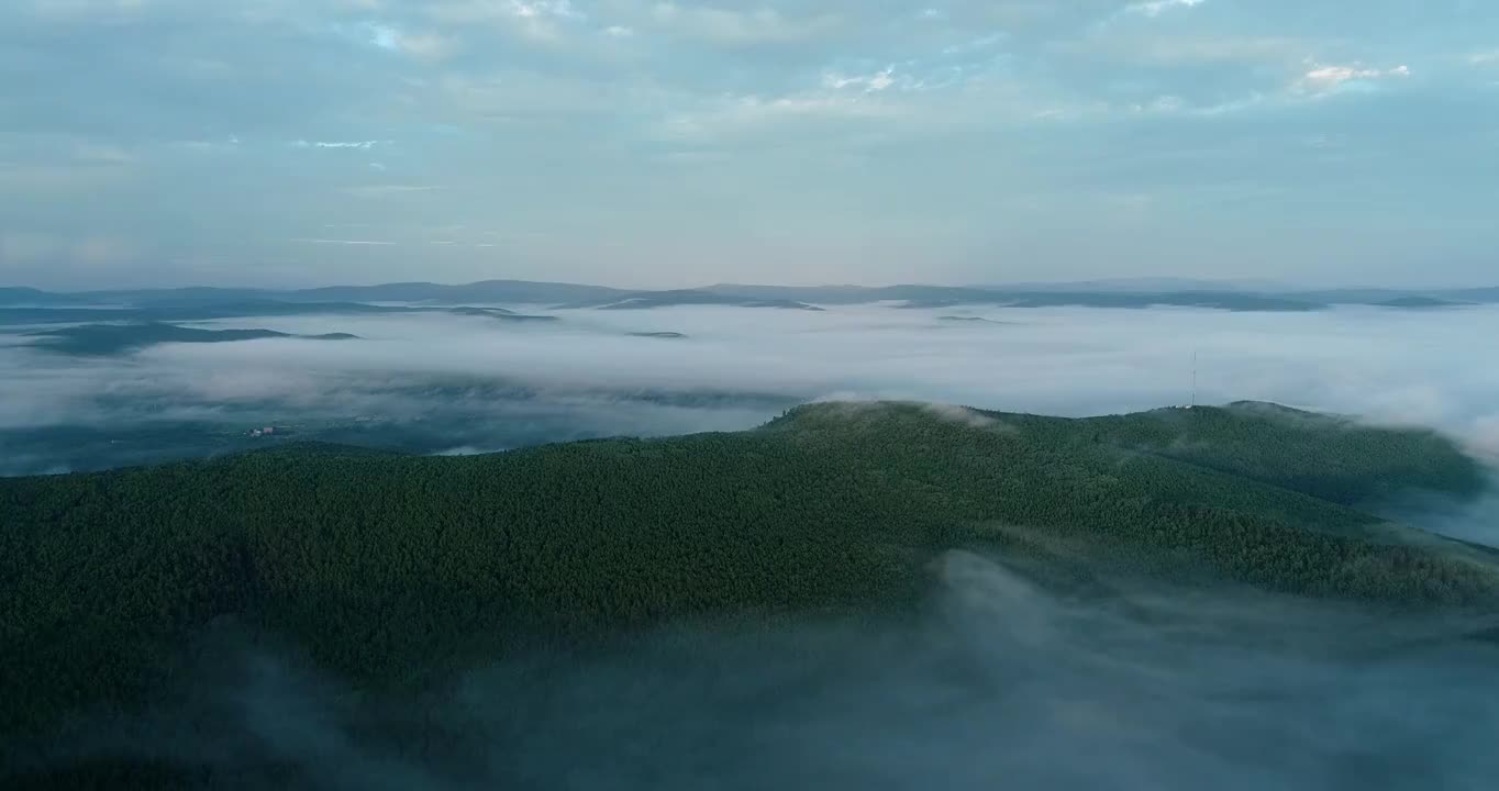 航拍大兴安岭泰加林原始森林云海视频素材