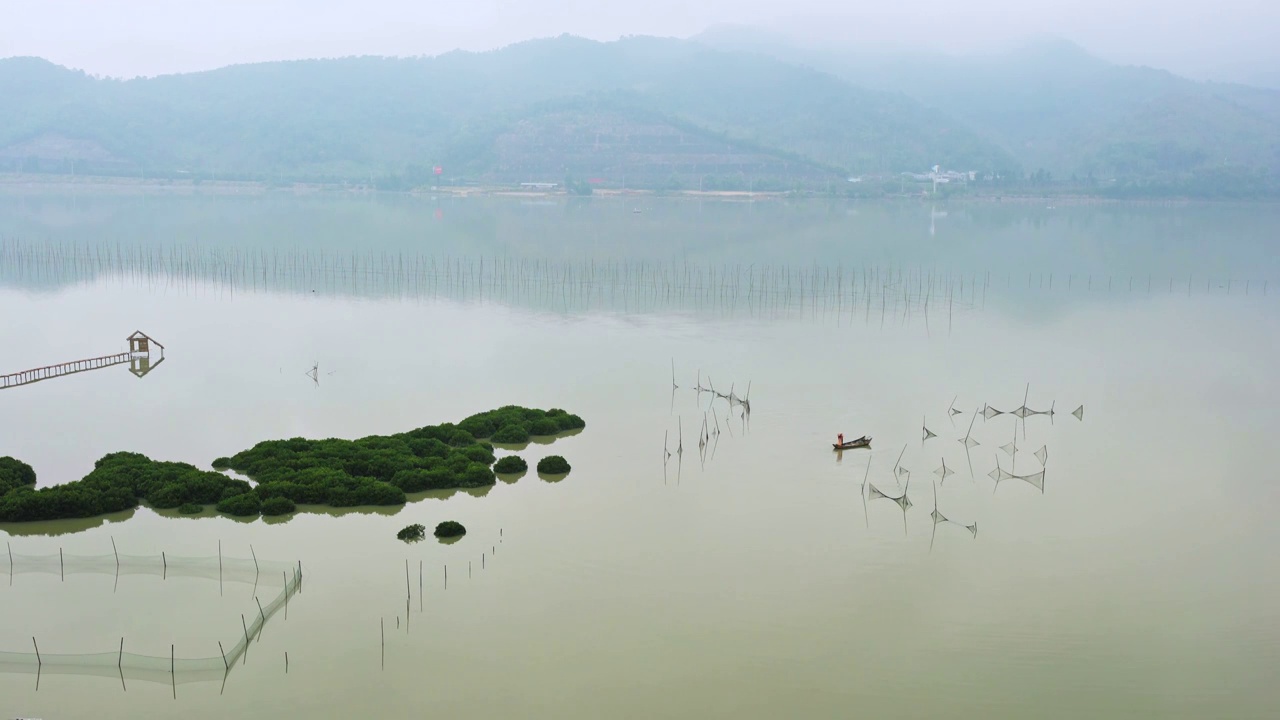 霞浦鹅湾红树林,青山绿水出海捕鱼视频素材