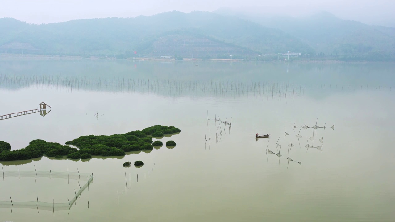 霞浦鹅湾红树林,青山绿水出海捕鱼视频素材