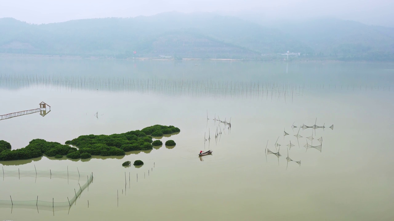 霞浦鹅湾红树林,青山绿水出海捕鱼视频素材