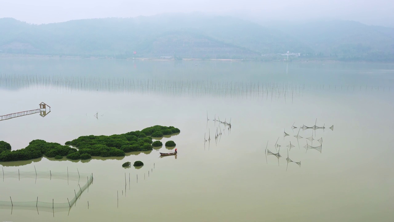 霞浦鹅湾红树林,青山绿水出海捕鱼视频素材