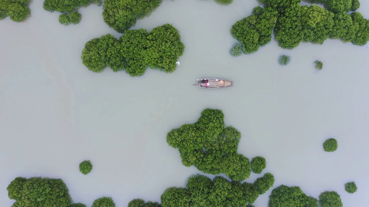 划船出海捕鱼的渔夫,霞浦鹅湾红树林视频素材