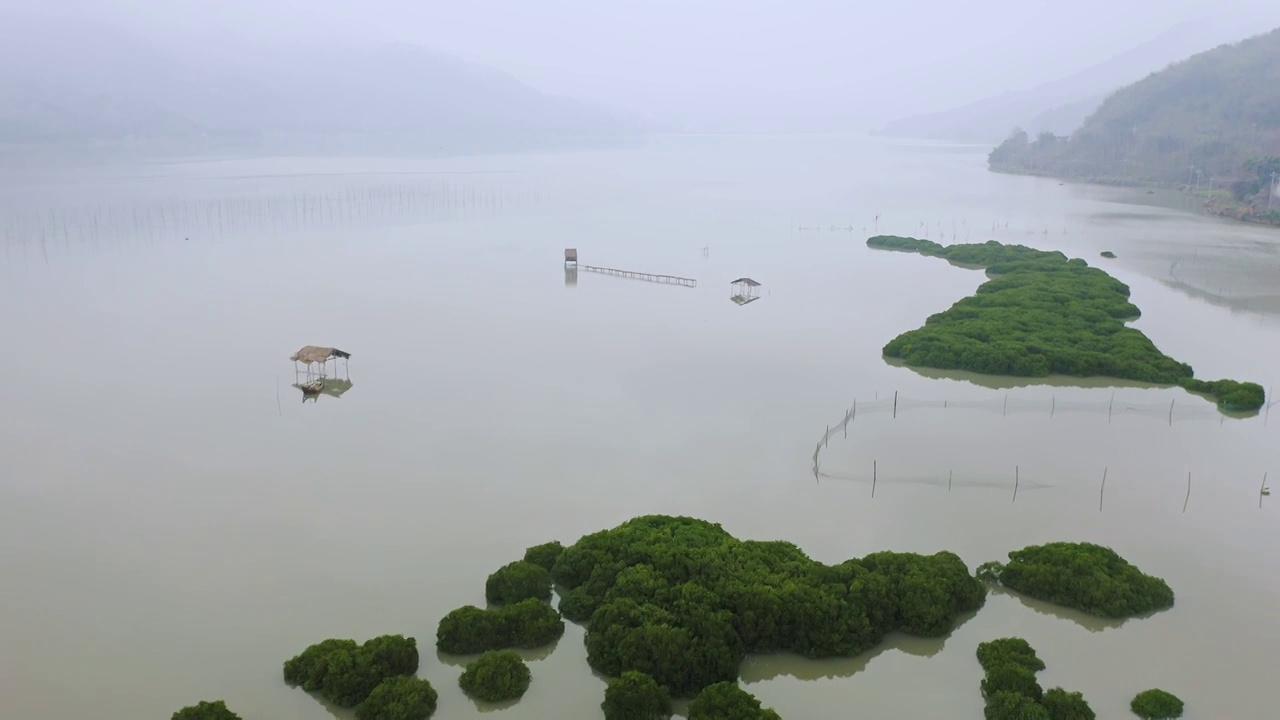 划船出海捕鱼的渔夫,霞浦鹅湾红树林视频素材