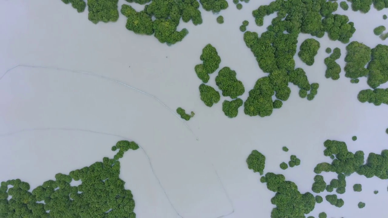 划船出海捕鱼的渔夫,霞浦鹅湾红树林视频素材