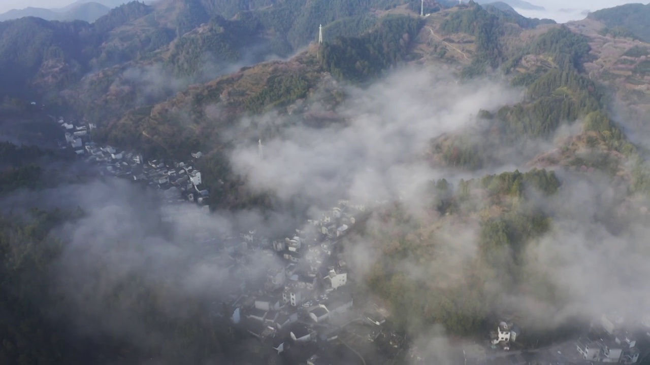 航拍山村梅花视频素材