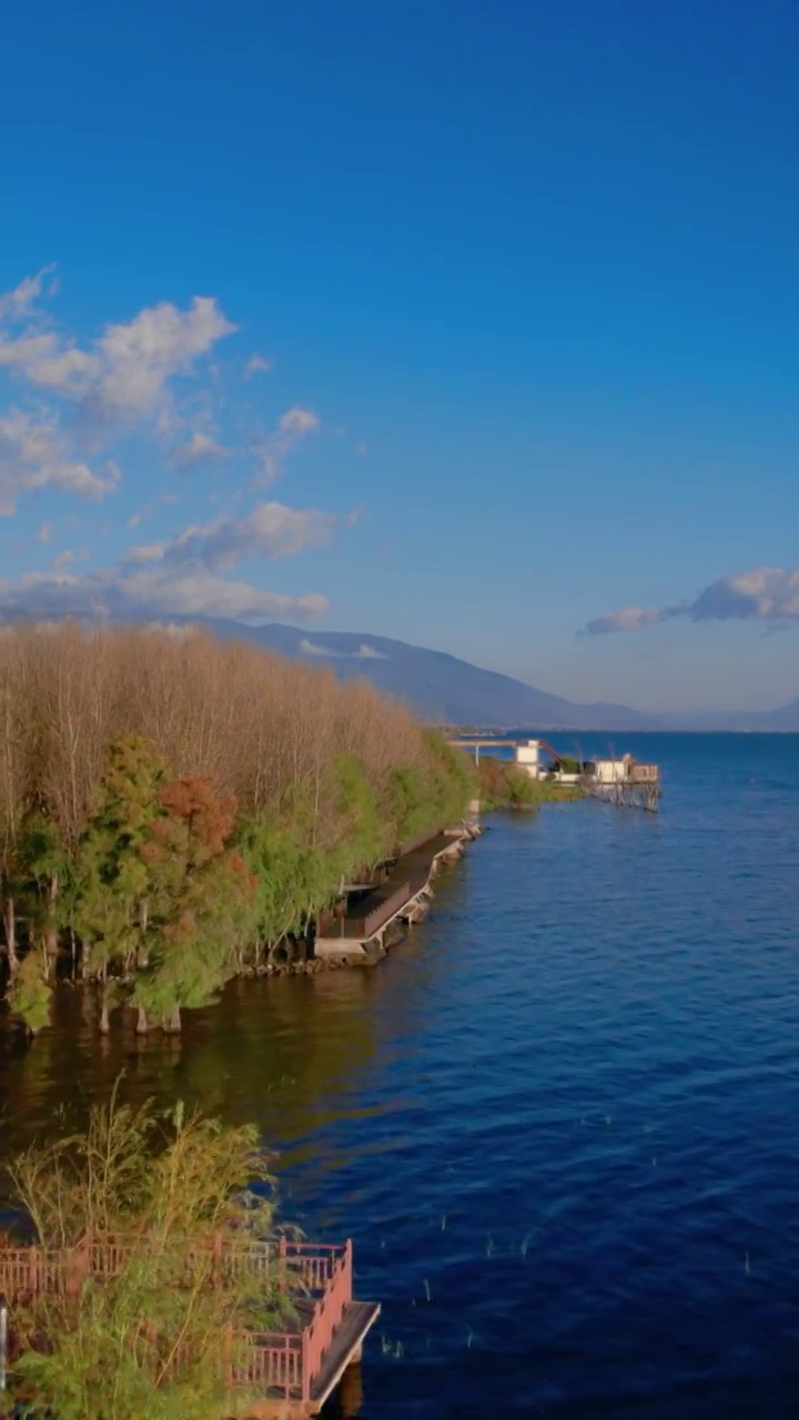 洱海湿地竖屏视频素材