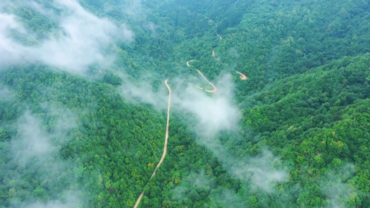 秦岭山雨后风光视频素材