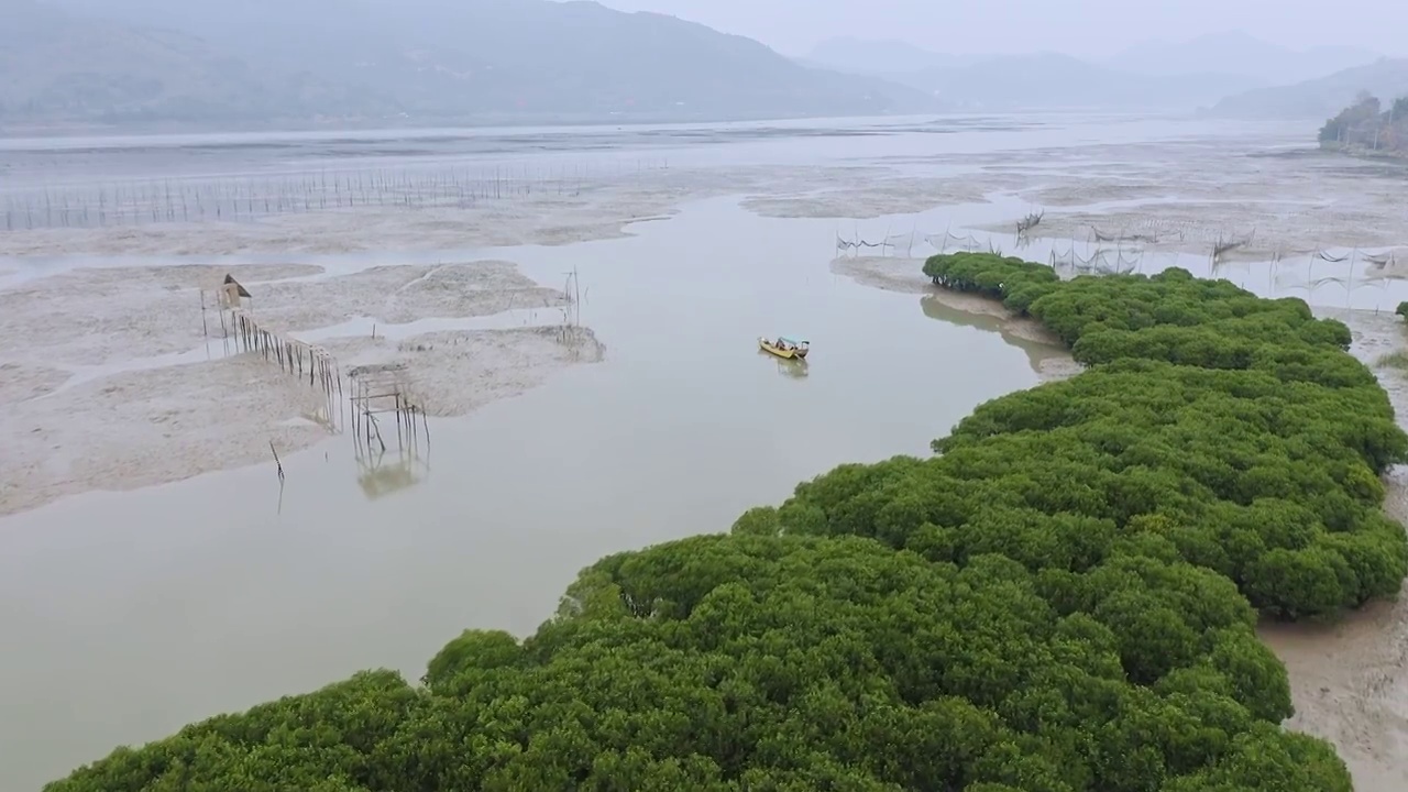 霞浦,盐田,鹅湾,红树林,渔船视频素材