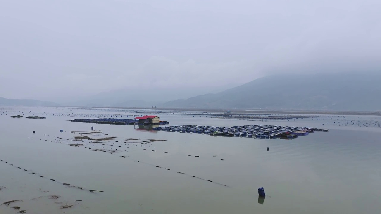 浒屿澳村,渔排,渔村视频素材