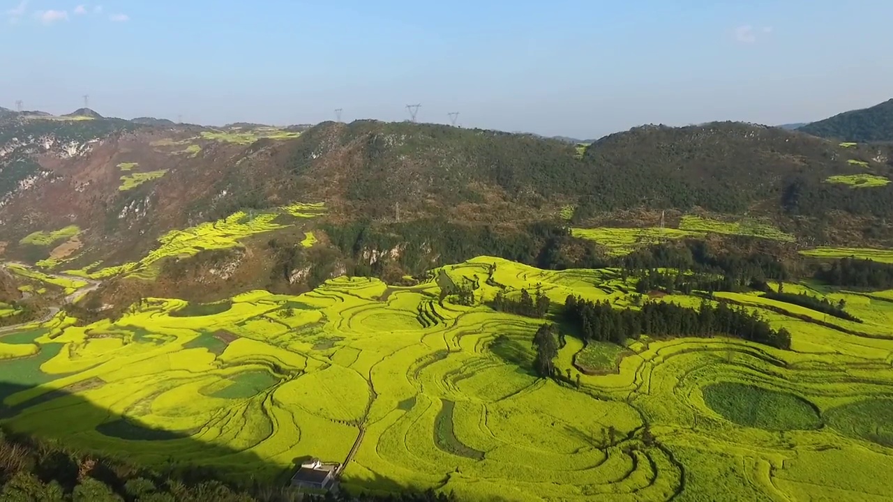 云南罗平螺丝田油菜花视频素材