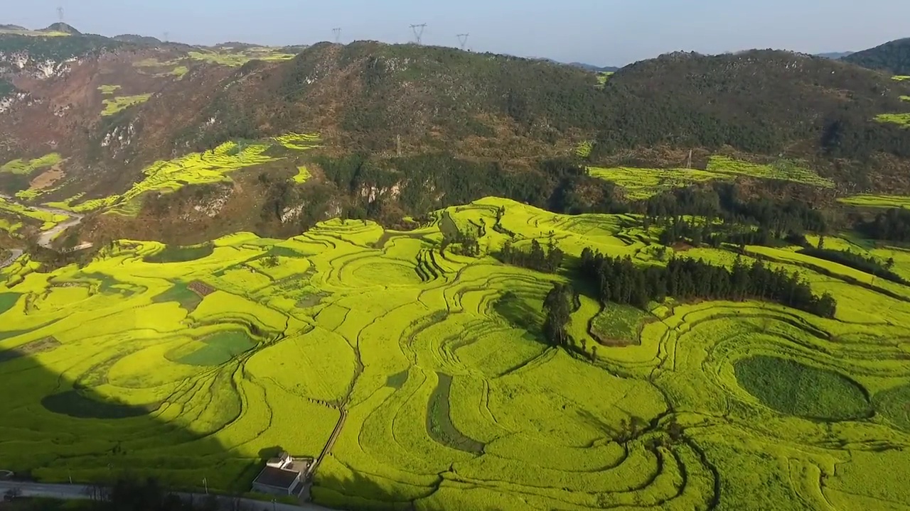 云南罗平螺丝田油菜花视频素材