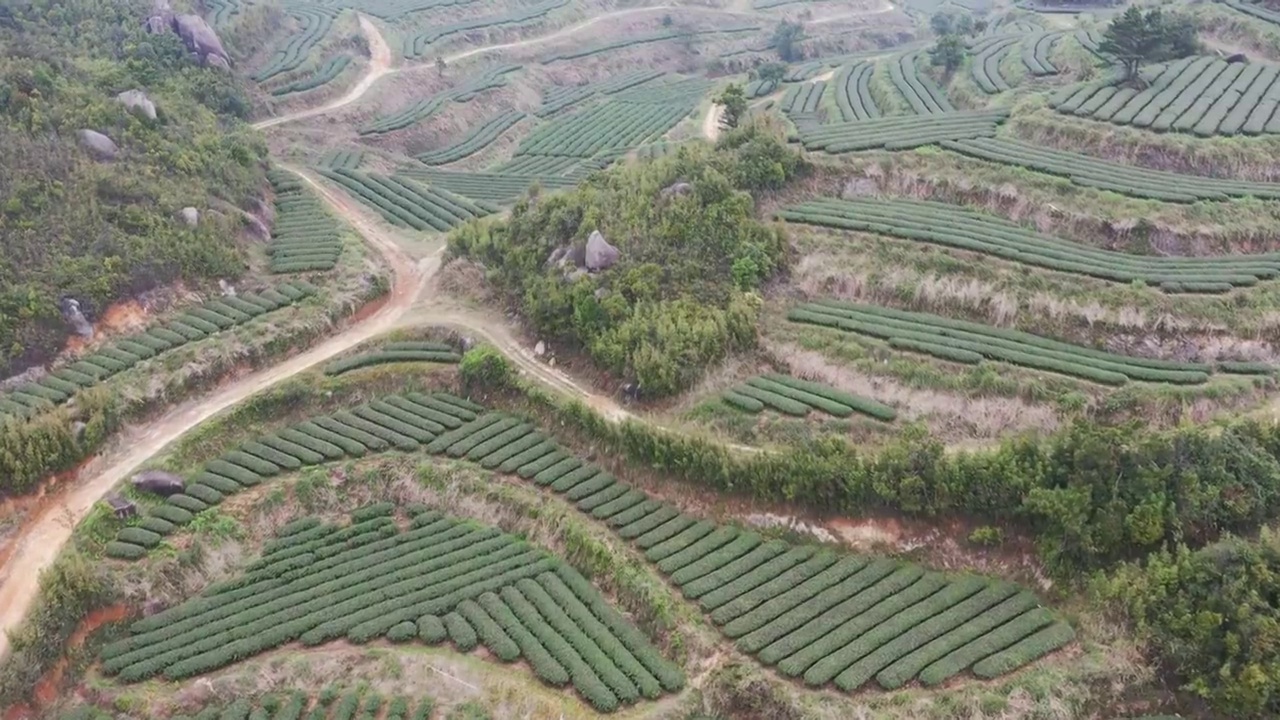 航拍茶山视频素材