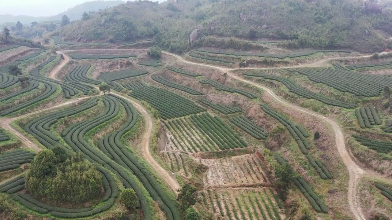 航拍茶山视频素材