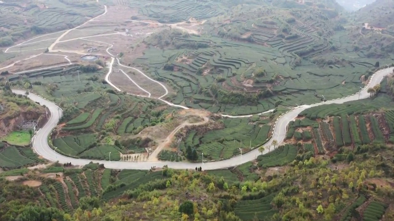 航拍茶山视频素材