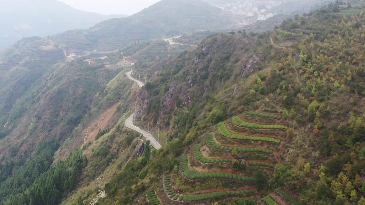 航拍茶山视频素材