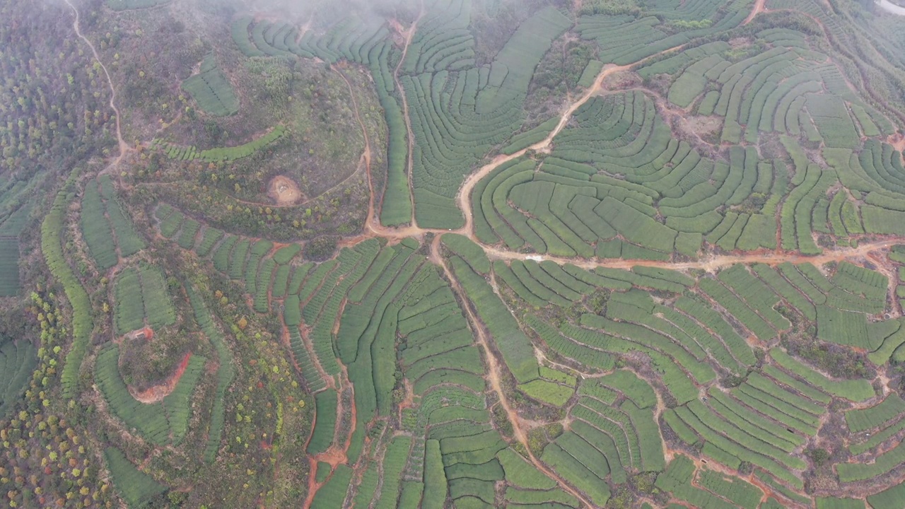 航拍茶山视频下载