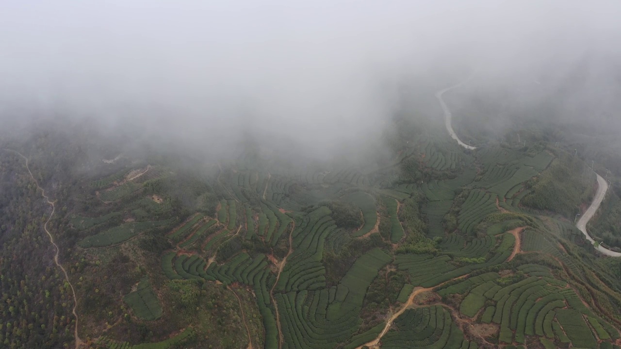 航拍茶山视频素材