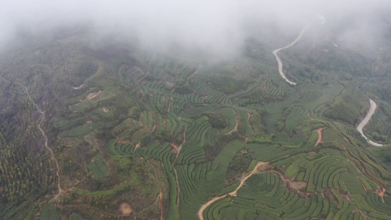 航拍茶山视频下载