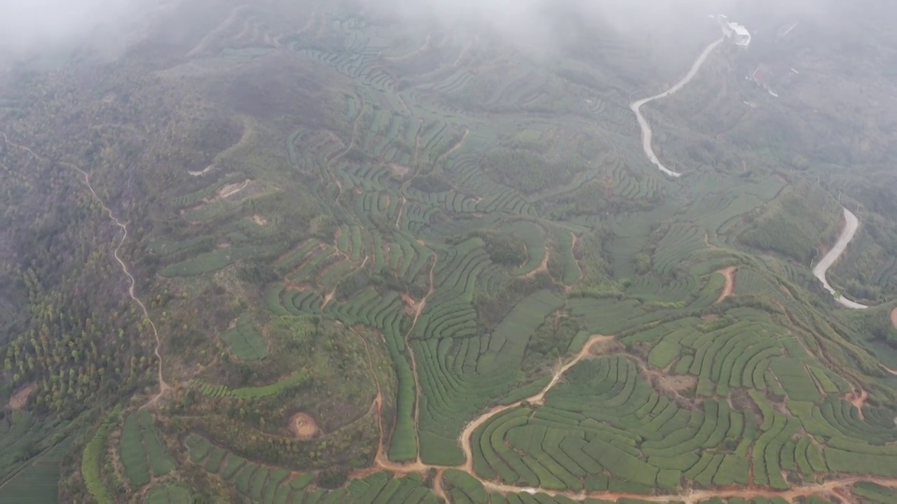 航拍茶山视频下载