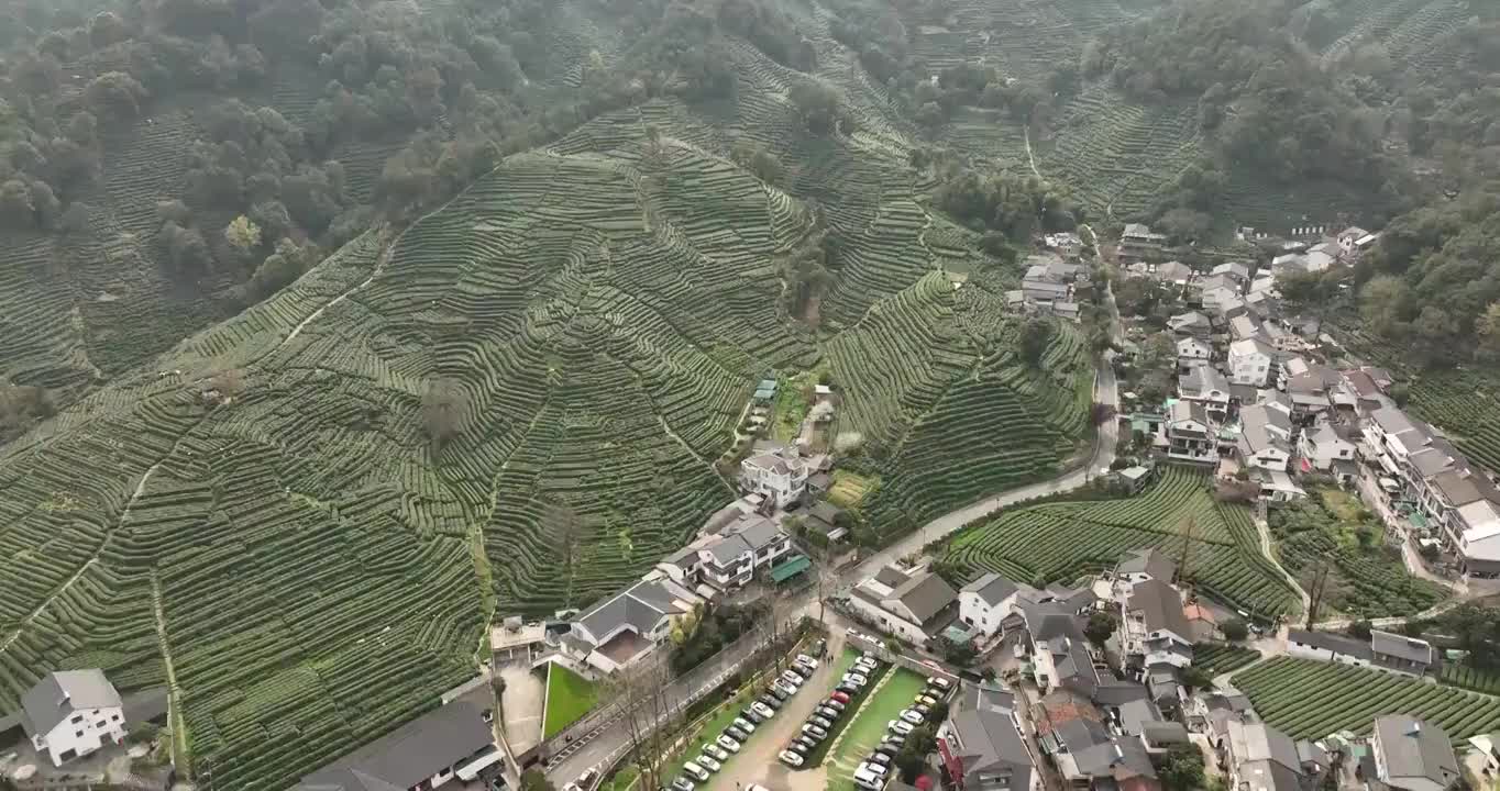 杭州龙井村茶田航拍视频素材