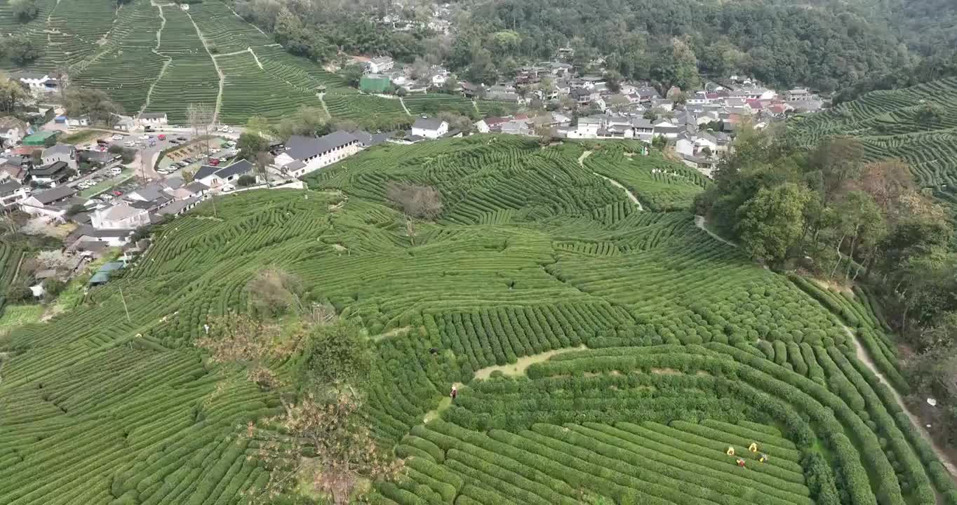 杭州龙井村茶田航拍视频素材