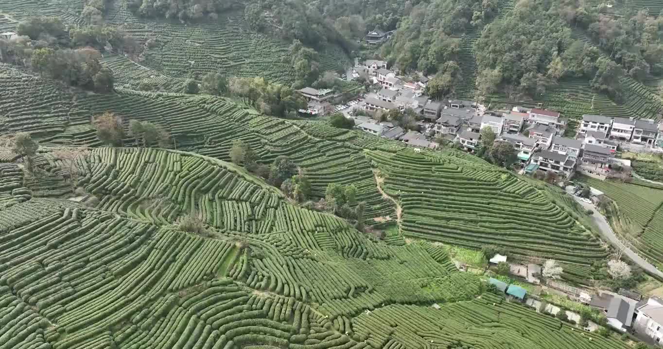 杭州龙井村茶田航拍视频素材