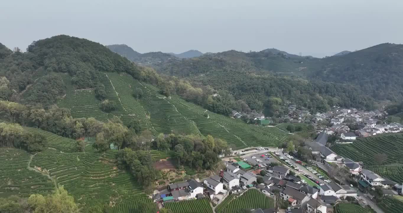 杭州龙井村茶田航拍视频素材