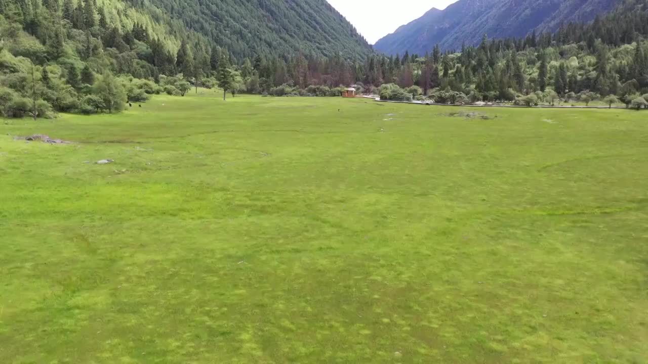 航拍四川四姑娘山旅行雪山草坪自然风光视频素材