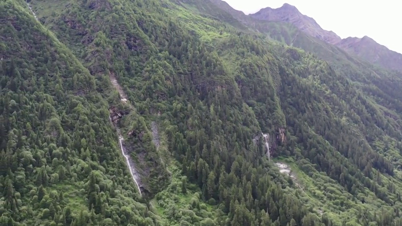 航拍四川四姑娘山旅行雪山草坪自然风光视频素材