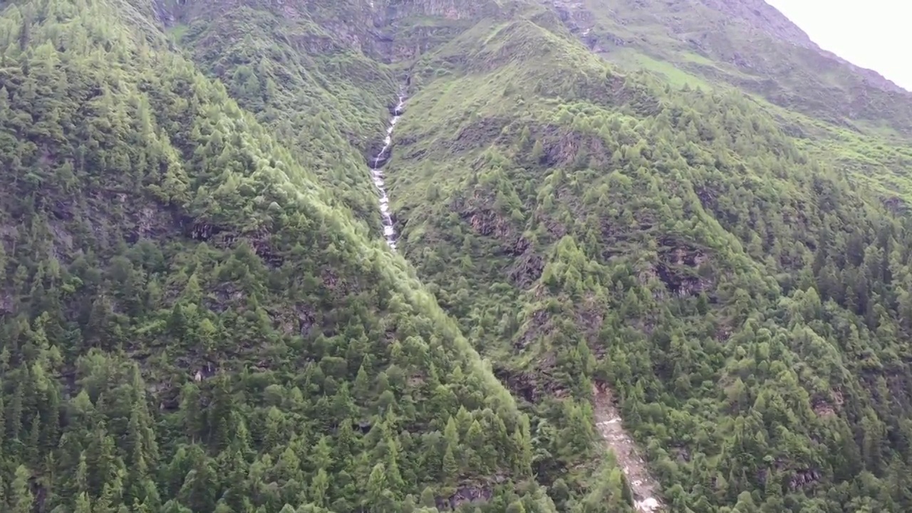 航拍四川四姑娘山旅行雪山草坪自然风光视频素材