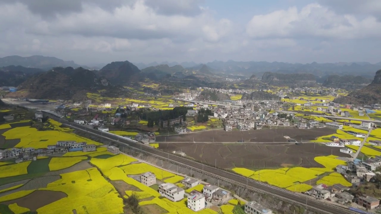 木岗镇六枝抵簸村油菜花航拍视频素材