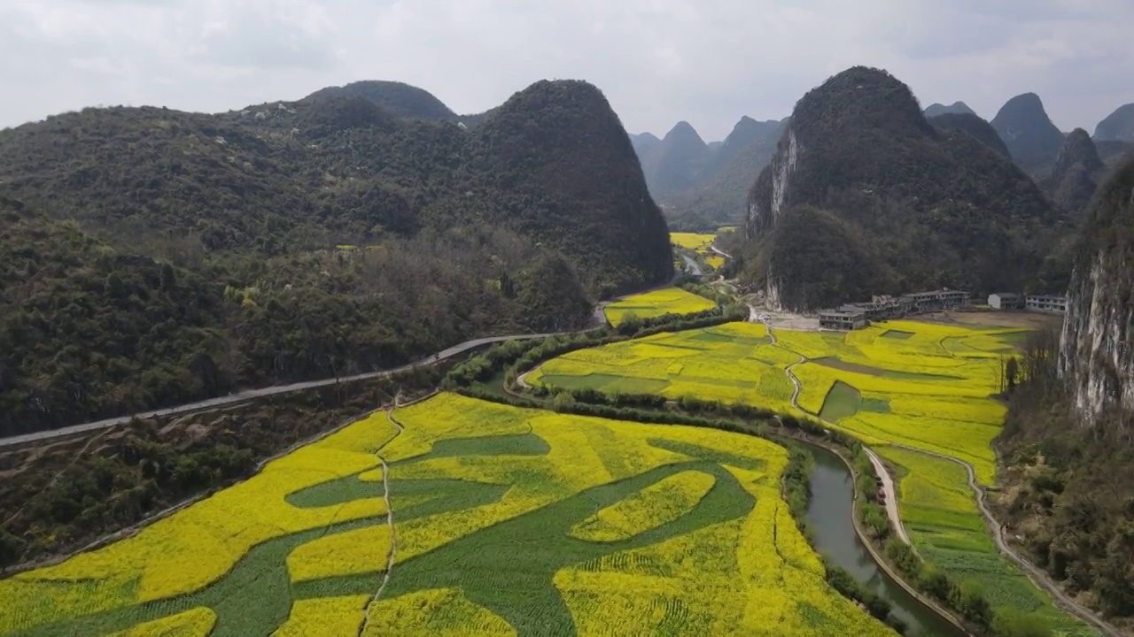 龙宫油菜花海航拍视频素材