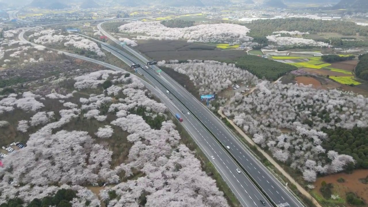 清镇樱花园高速公路航拍视频素材