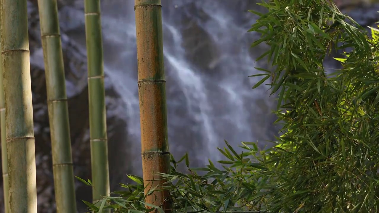 春天瀑布竹林晨曦逆光唯美空镜视频素材