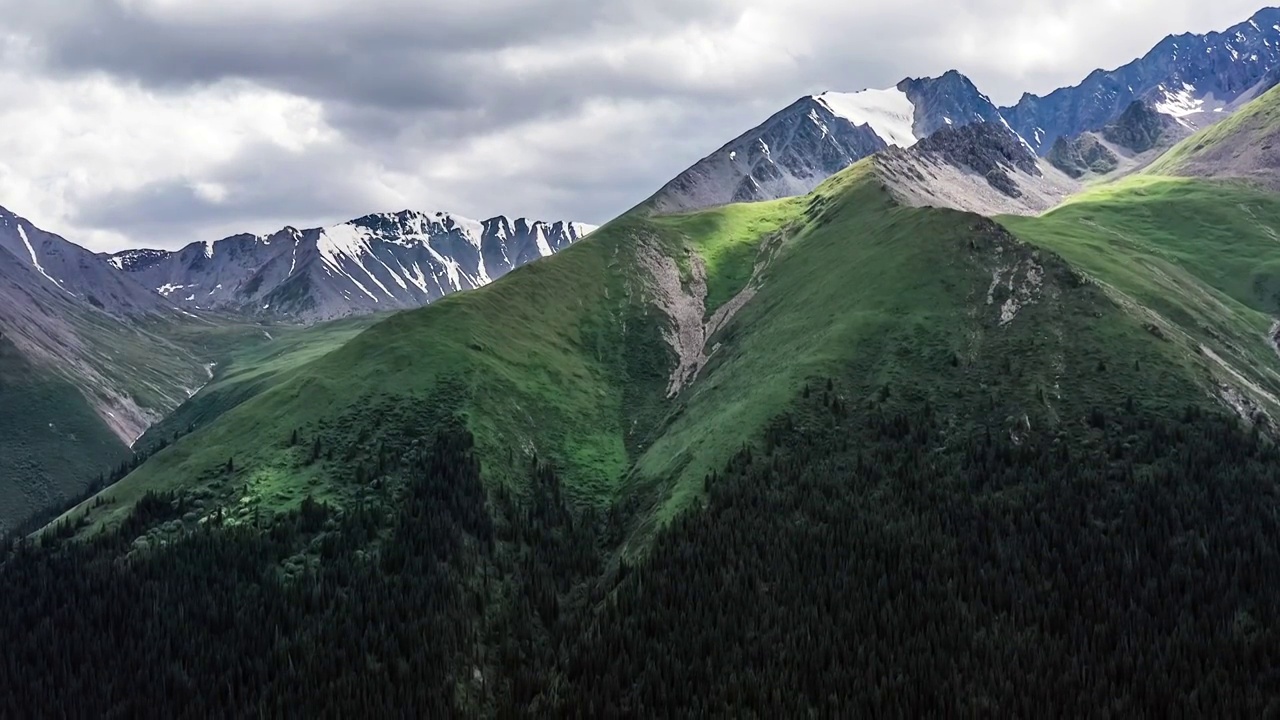 中国新疆夏塔公园雪山和草地风景航拍视频素材