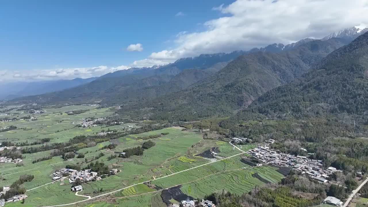 云南保山腾冲高黎贡山油菜花田视频素材