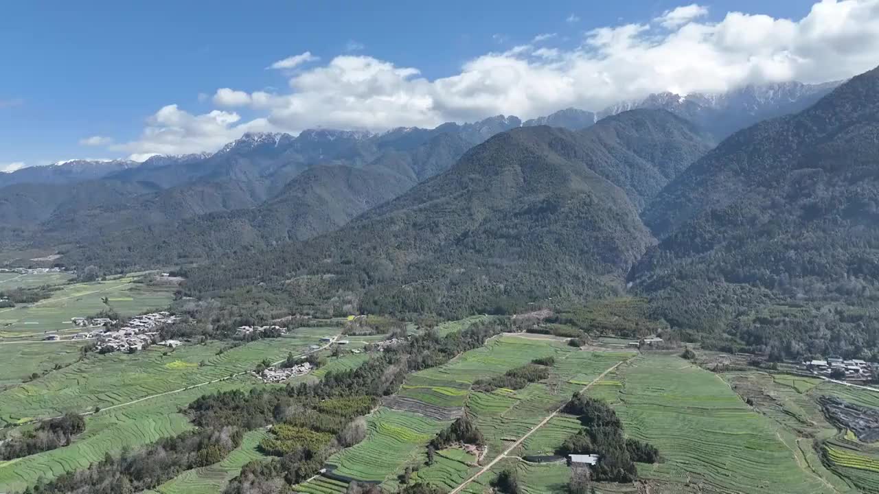 云南保山腾冲高黎贡山油菜花田视频素材