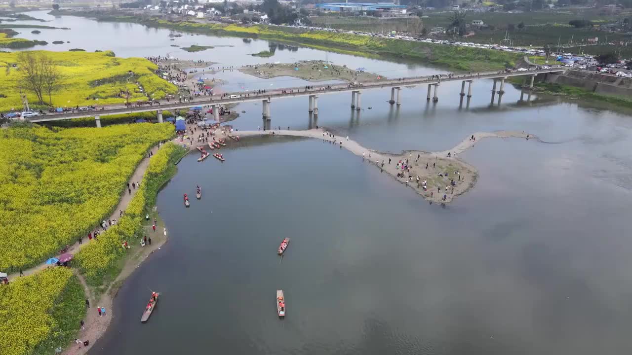 邛崃两河村油菜花航拍风光视频素材