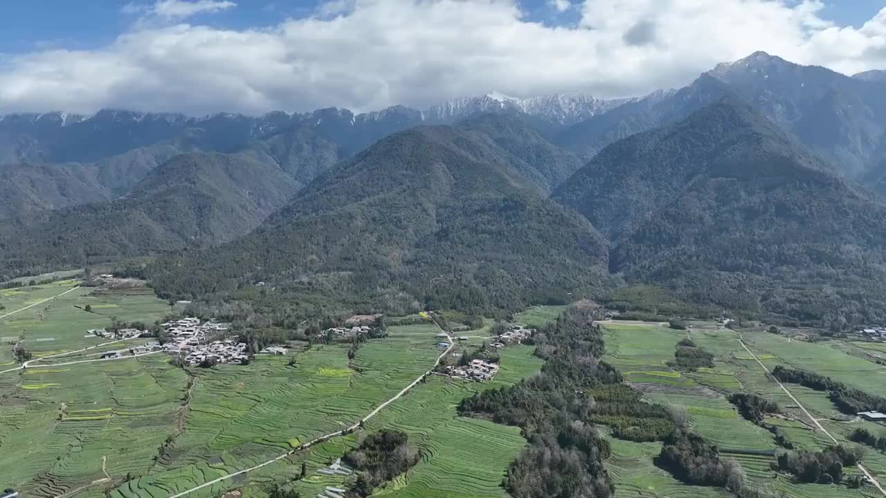 云南保山腾冲高黎贡山油菜花田视频素材