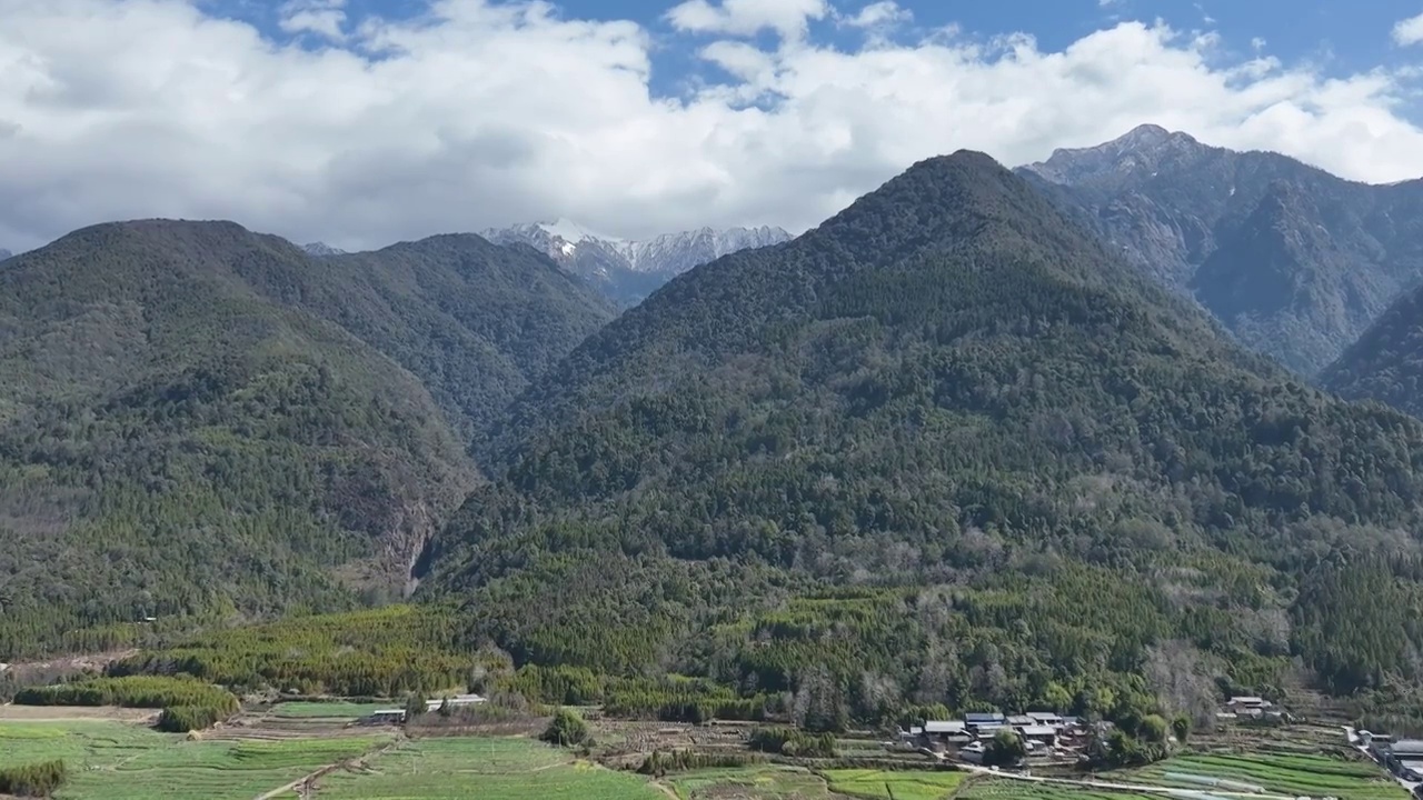 云南保山腾冲高黎贡山油菜花田视频素材