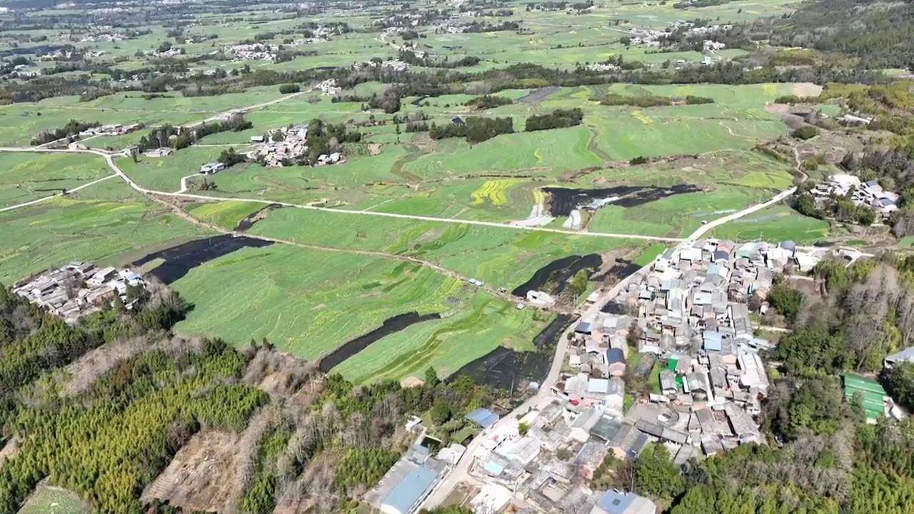 云南保山腾冲高黎贡山油菜花田视频素材