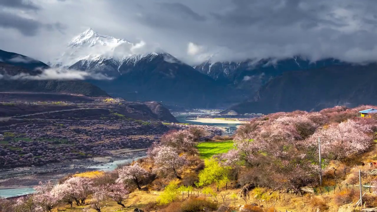 多雄拉山雪山桃花延时视频素材