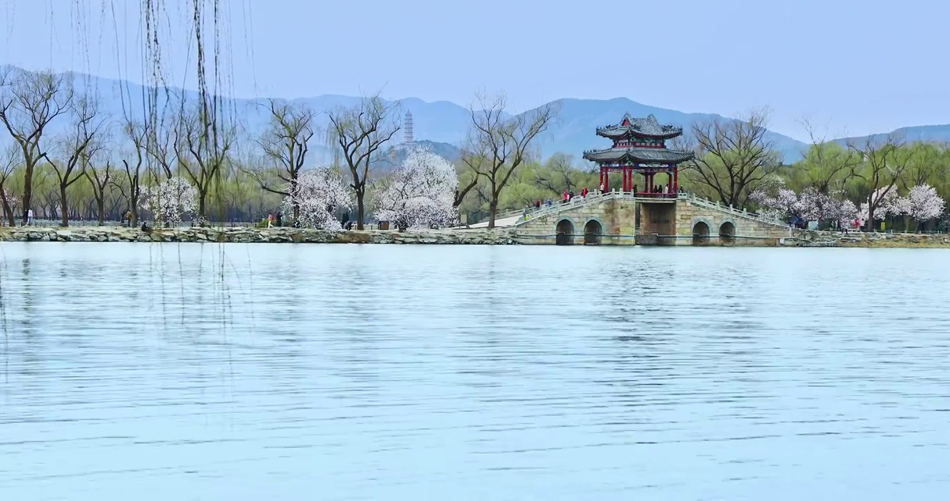 春天的颐和园，北京颐和园西堤的桃花视频素材