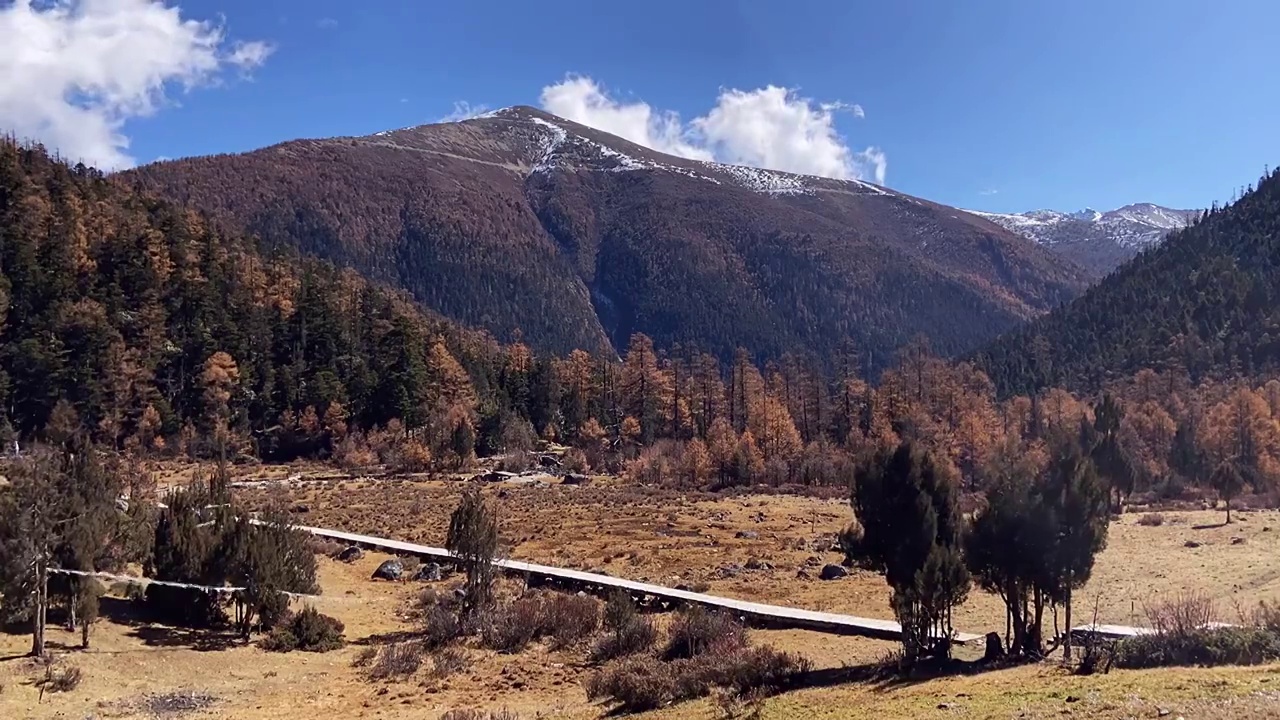 云南省迪庆藏族自治州德钦县白马雪山国家级自然保护区视频下载