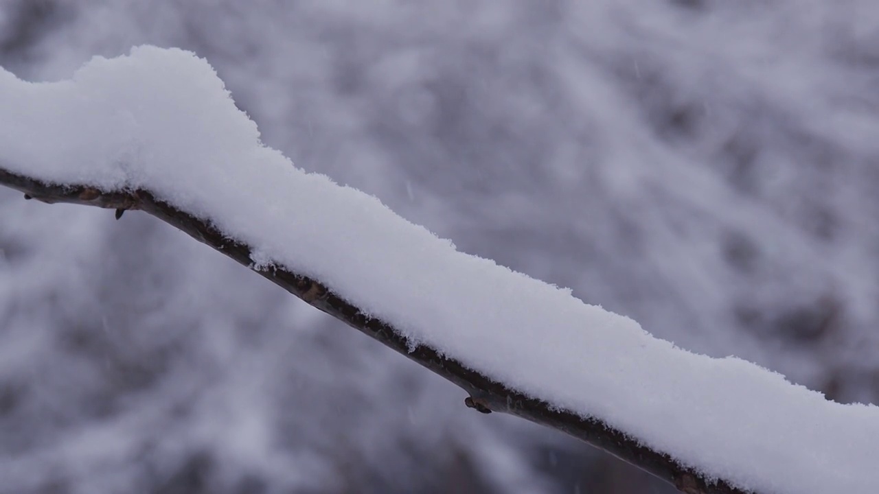 下雪的北京视频素材