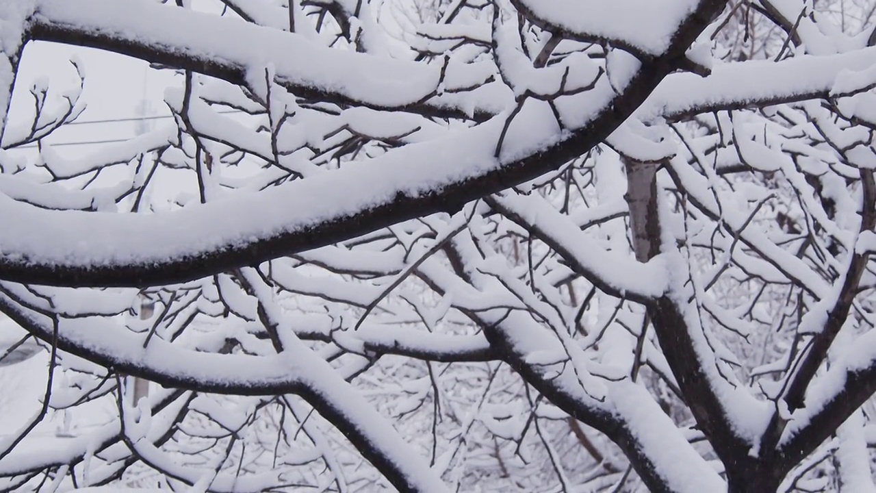 下雪的北京视频素材