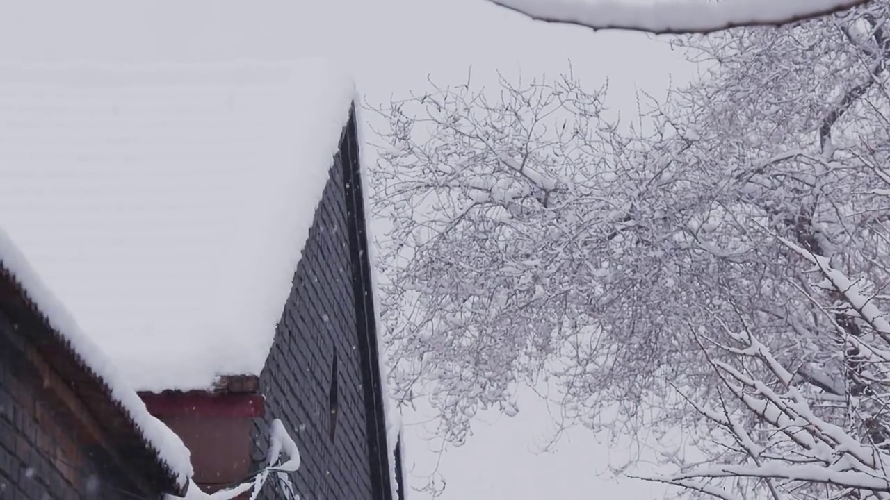 下雪的北京视频素材