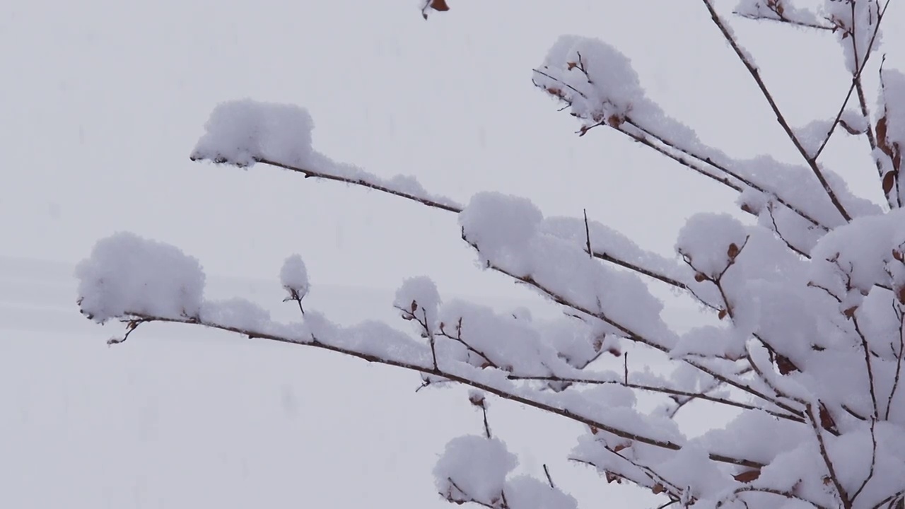 下雪的北京视频素材