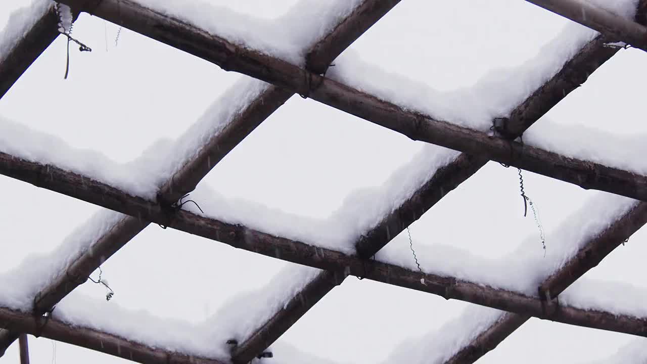 下雪的北京视频下载