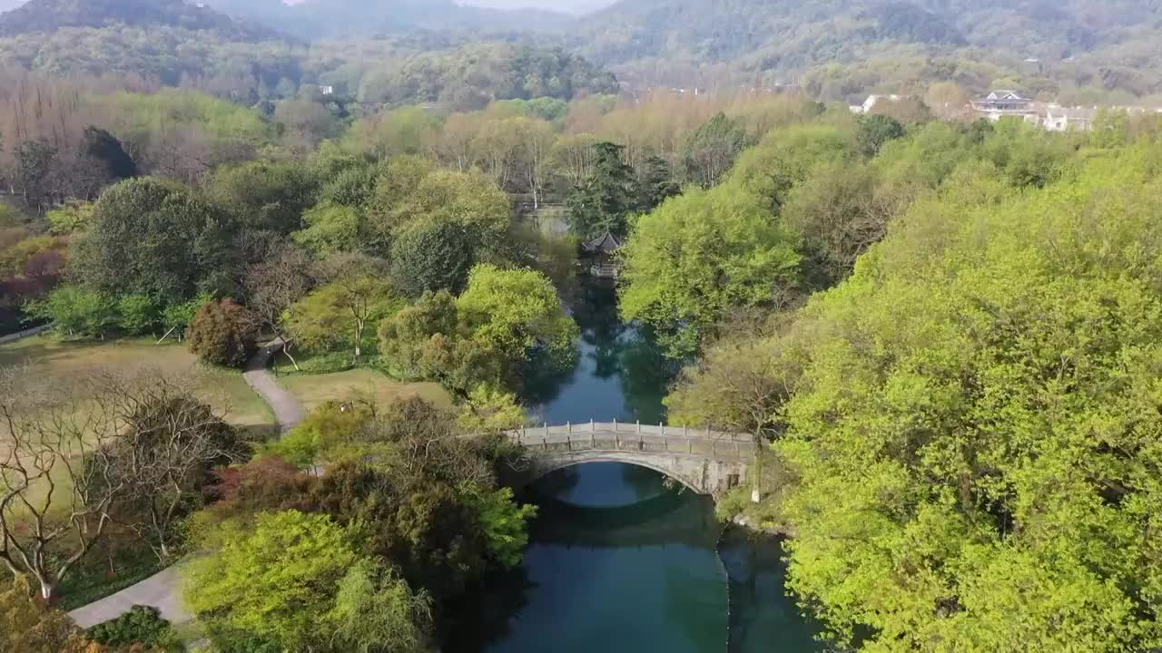 西湖花港公园视频素材